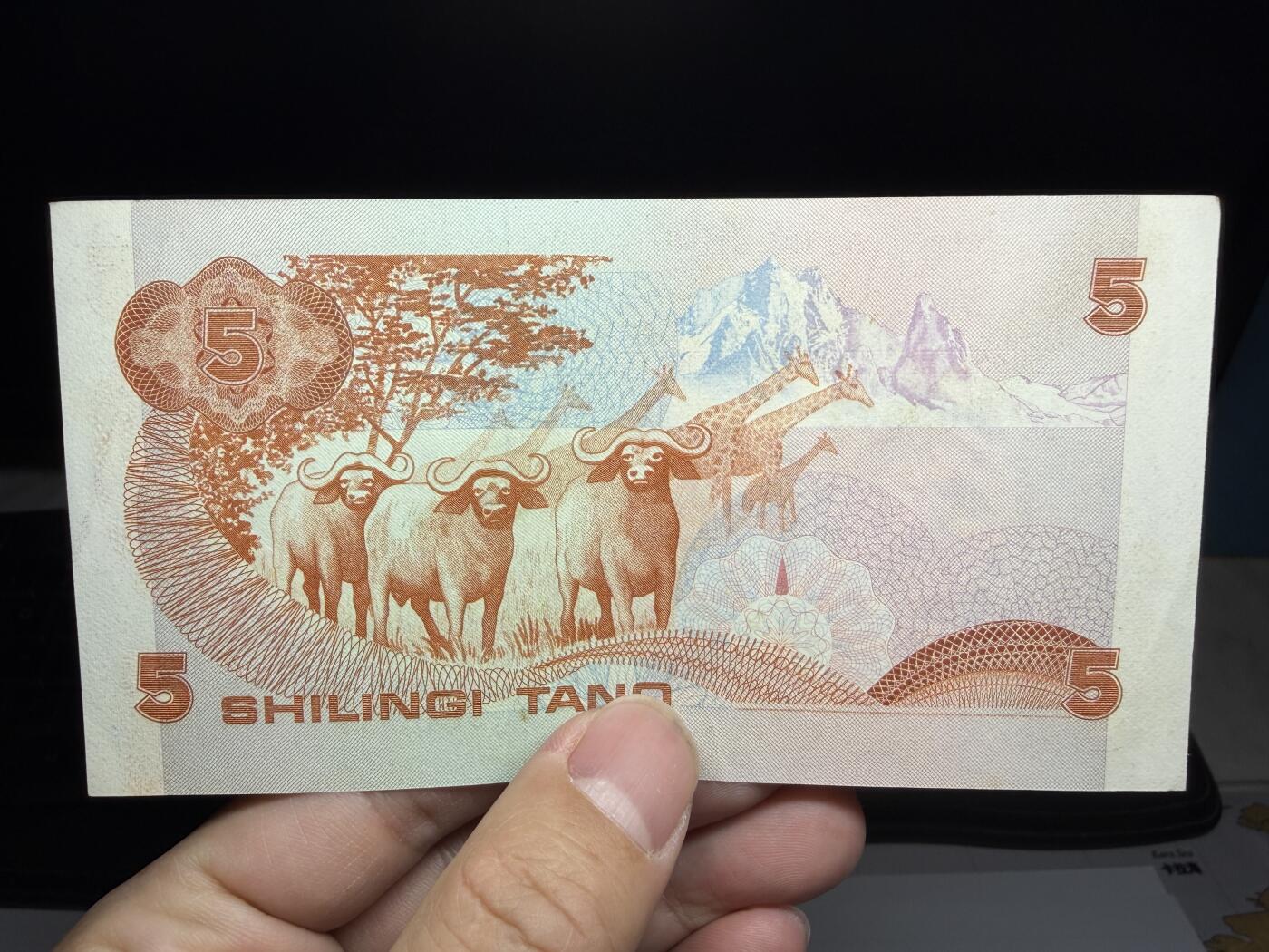 2026年集古藏今外币拍卖第二期-第10场—（总第310拍-纸币专场），本期拍完结算一次，发货时间2-3天，休息几天后继续新的一期拍卖。 1982年肯尼亚5先令