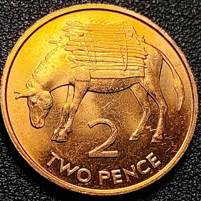 泉币菌-第204场-元宵节专场 本场拍品多 请提前出价 - 原铜光UNC 毛驴 英属圣赫勒拿和阿森松1984年2便士青铜币 26MM