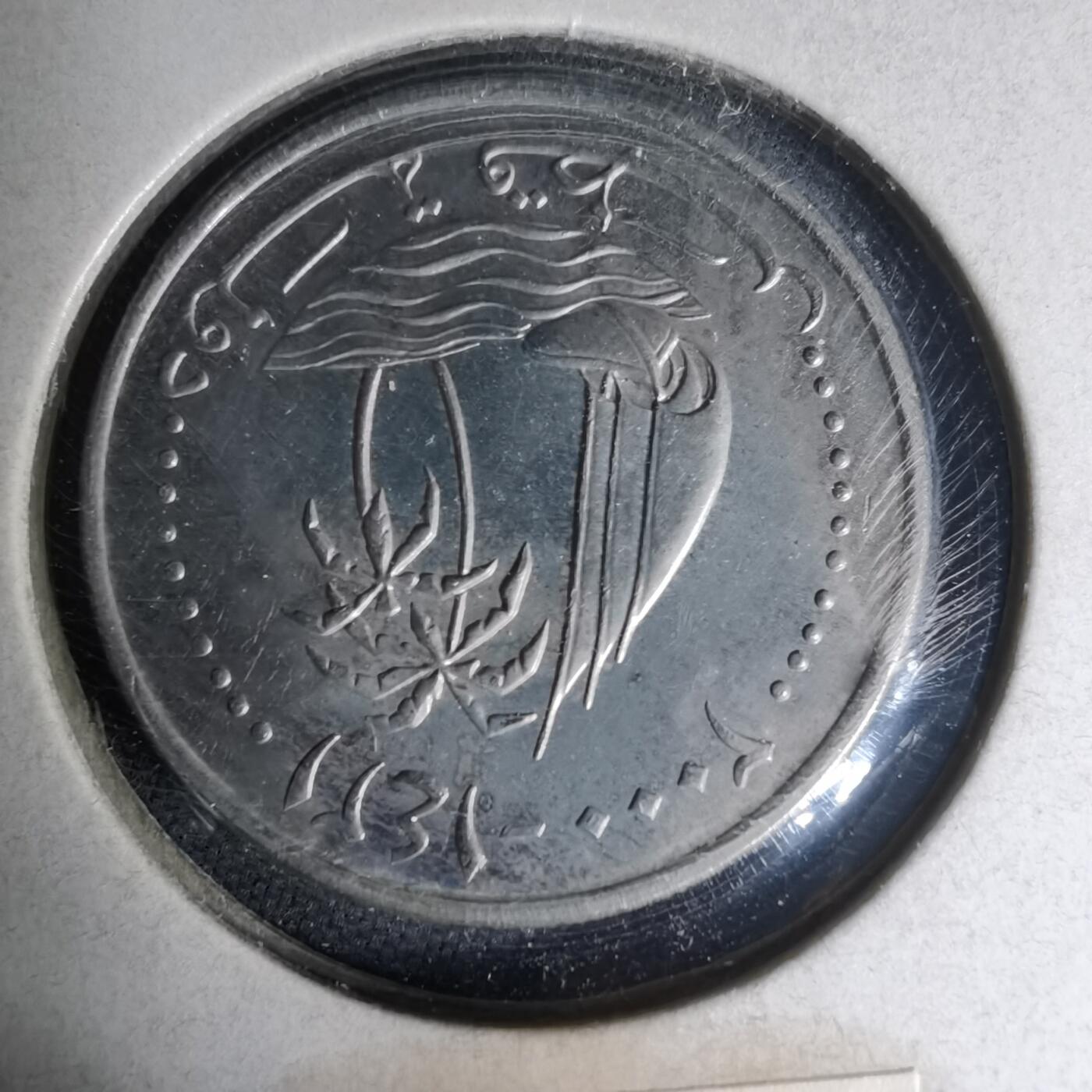 沼泽如烟--第1007场