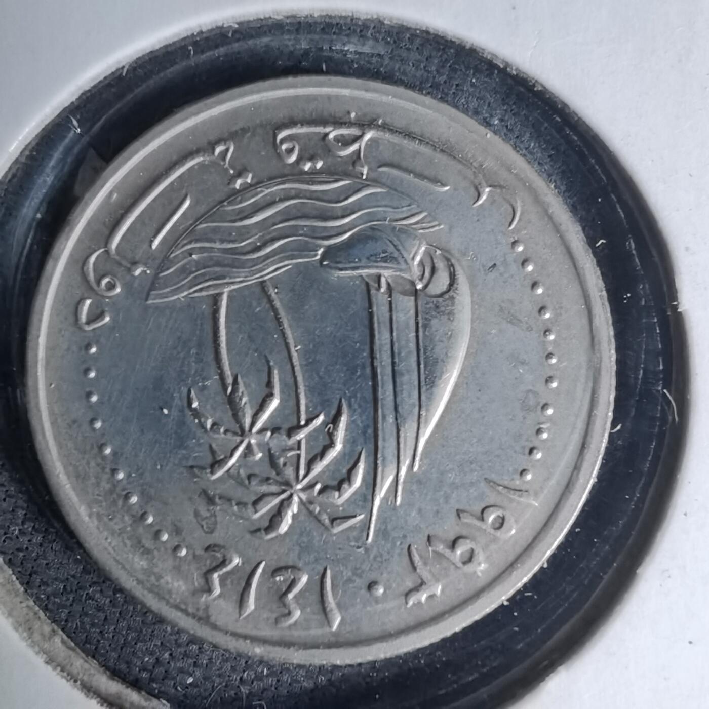 沼泽如烟--第1007场