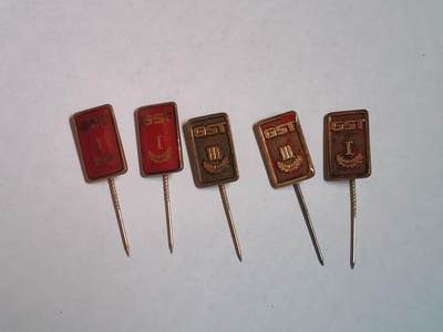 韵星假日军品类拍卖第43期 -- Rimey Holidays Militaria Auction 43 - 民主德国gst证章插针一组一组