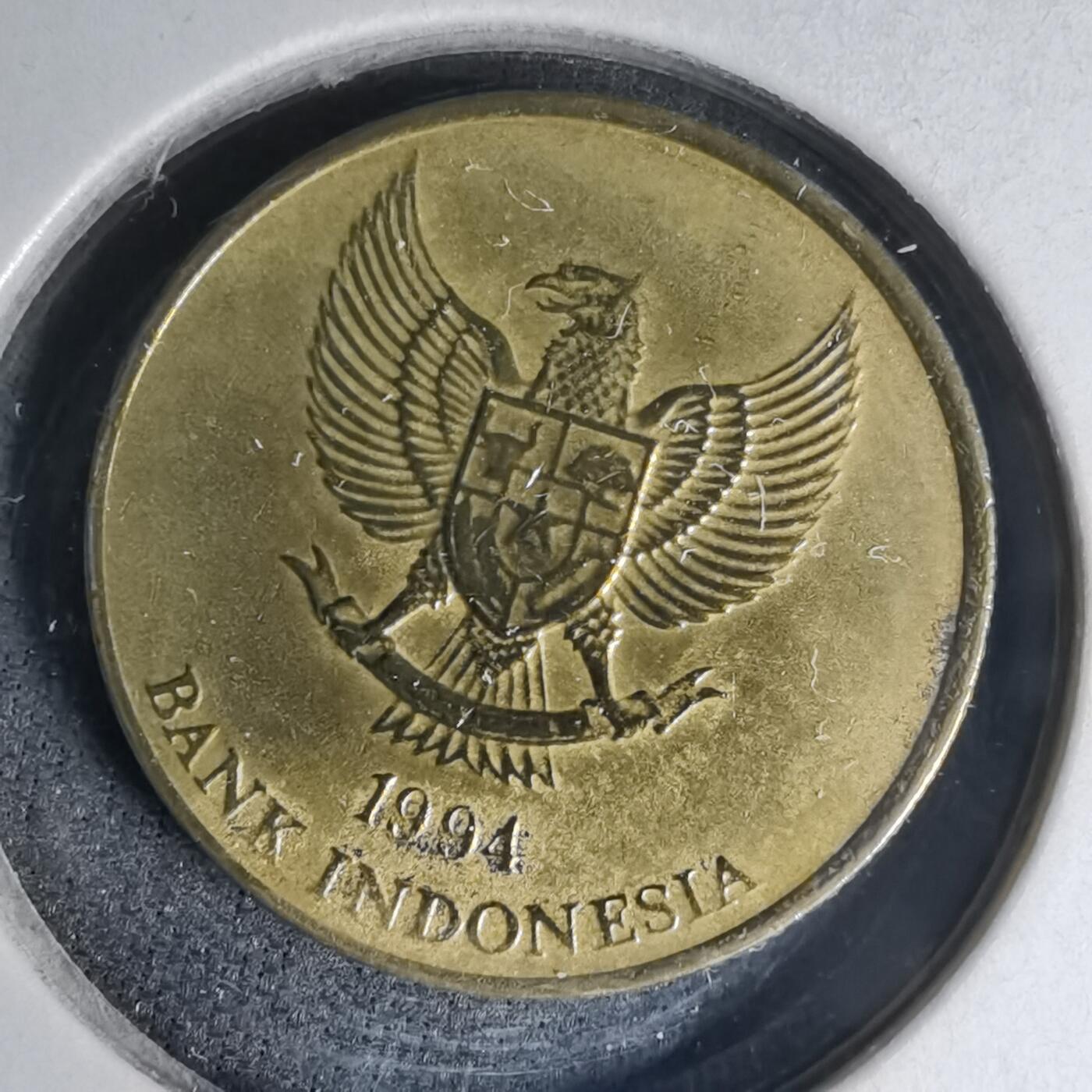 沼泽如烟--第1007场