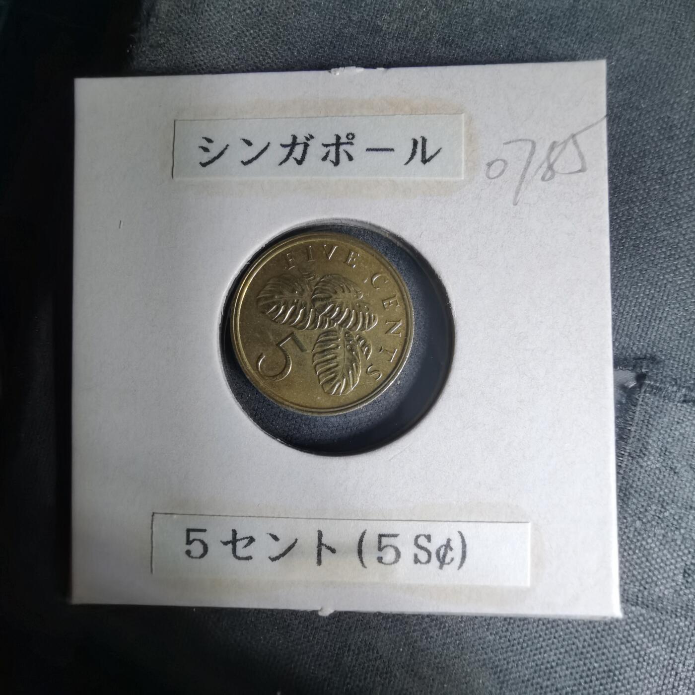 沼泽如烟--第1007场