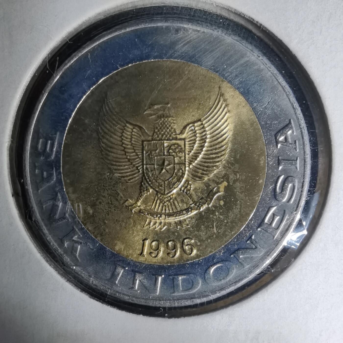 沼泽如烟--第1007场