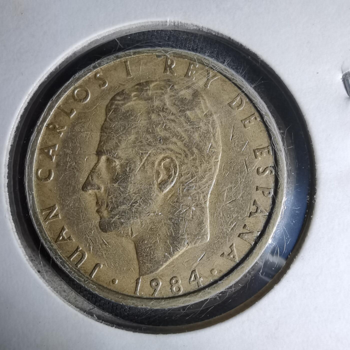 沼泽如烟--第1007场