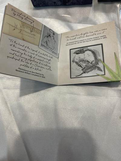 英国2021年Plesiosaurus纪念银币 50便士面值，925银，Proof工艺，限量发行 证书、亚克力壳，品相保存很好，适合收藏 英国2021年Plesiosaurus纪念银币 50便士面值，925银，Proof工艺，限量发行 证书、亚克力壳，品相保存很好，适合收藏