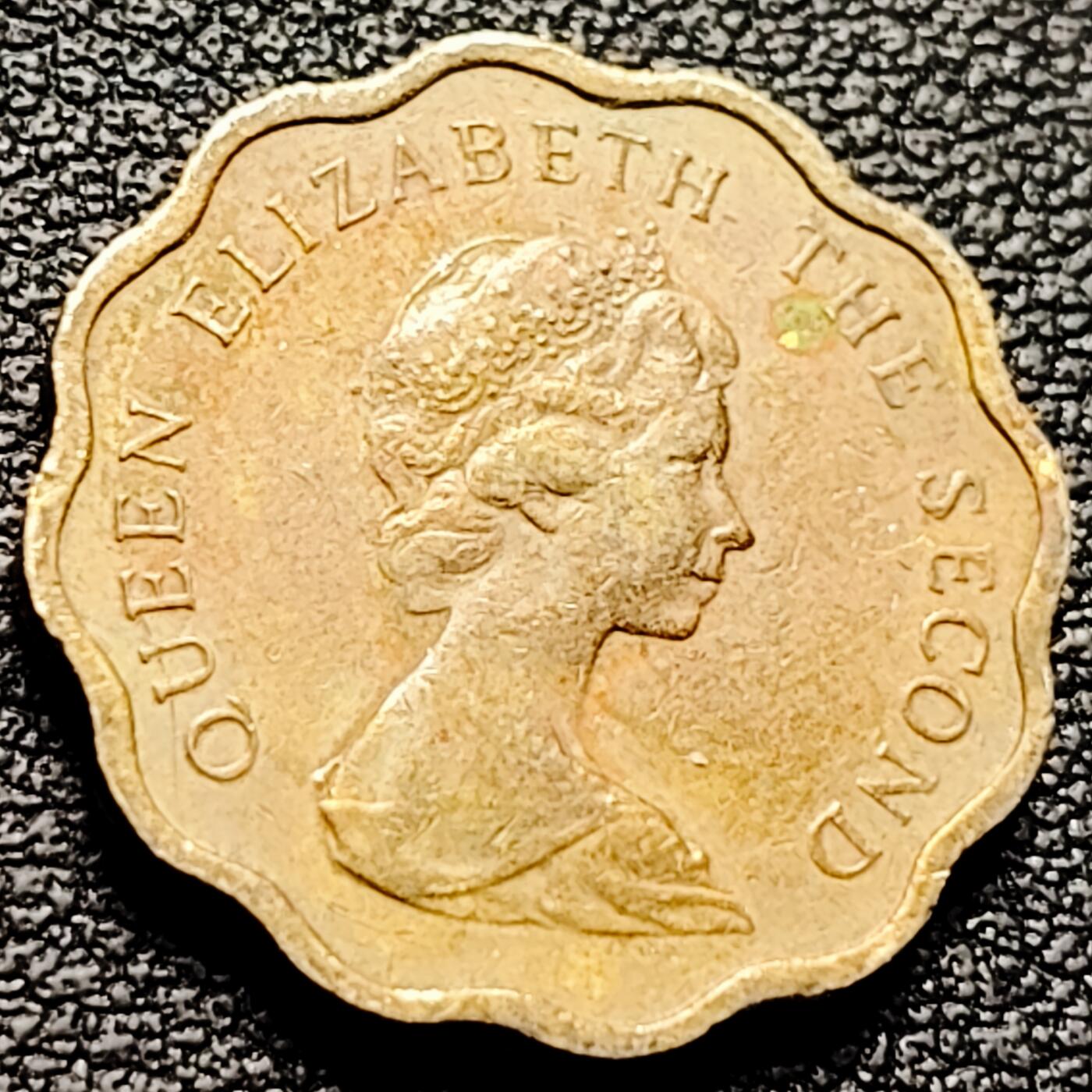 泉币菌-第202场-本场拍品多 请提前出价（正月十五统一发货） 。