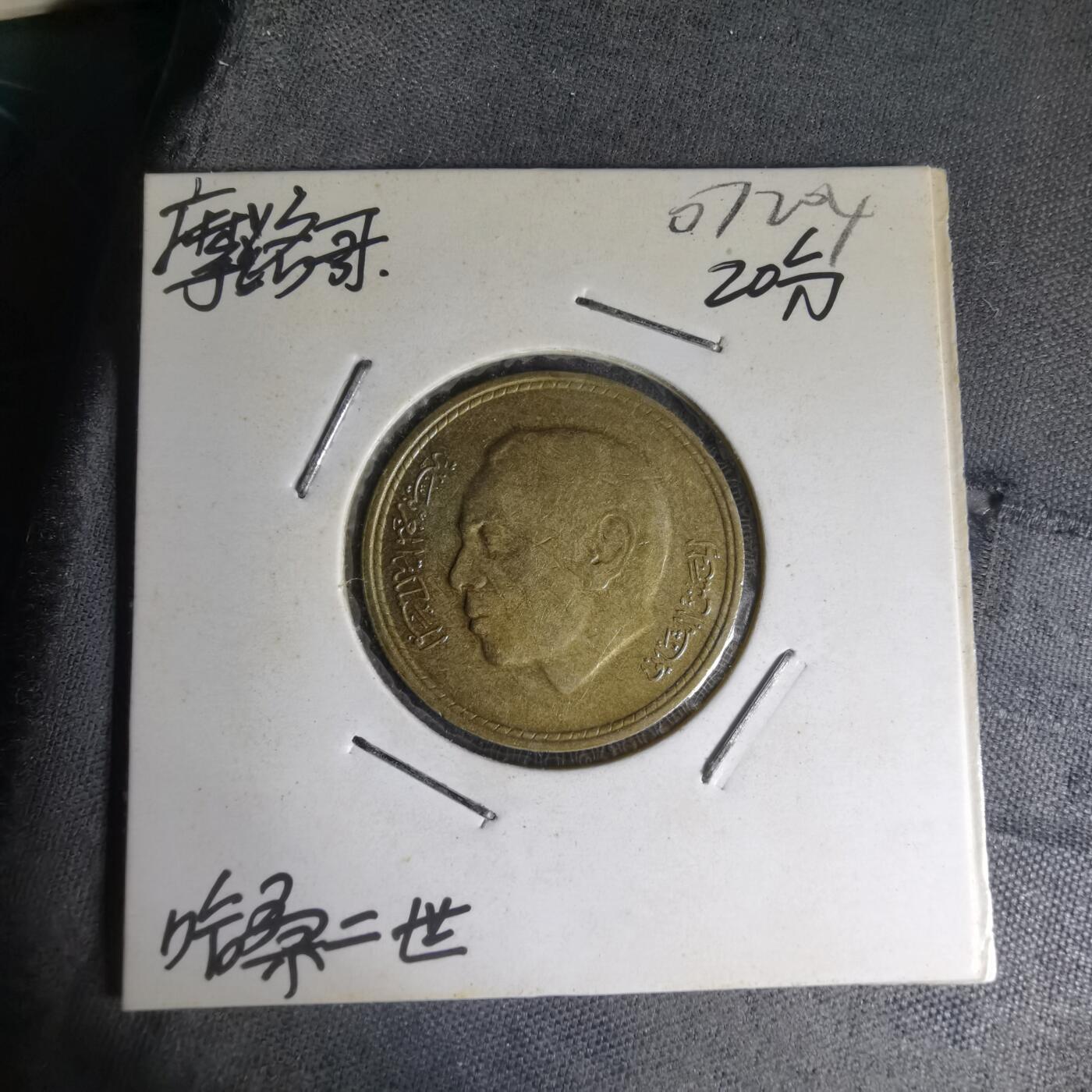 沼泽如烟--第1007场