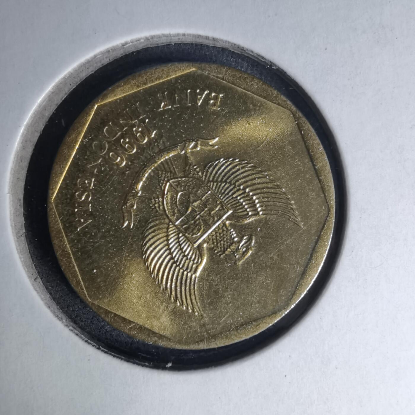 沼泽如烟--第1007场