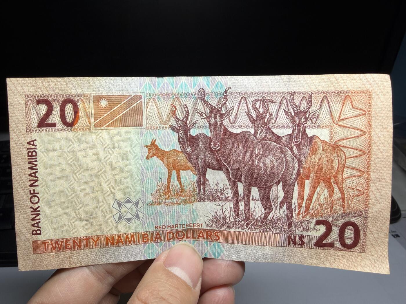 2026年集古藏今外币拍卖第二期-第10场—（总第310拍-纸币专场），本期拍完结算一次，发货时间2-3天，休息几天后继续新的一期拍卖。 纳米比亚20元