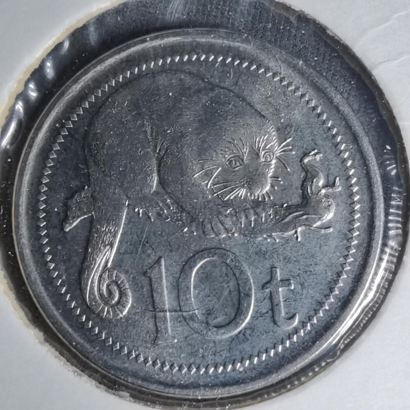 沼泽如烟--第1007场 巴布亚新几内亚2005年10托伊