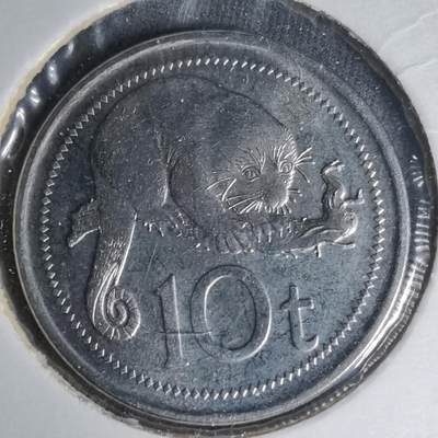 沼泽如烟--第1007场 - 巴布亚新几内亚2005年10托伊