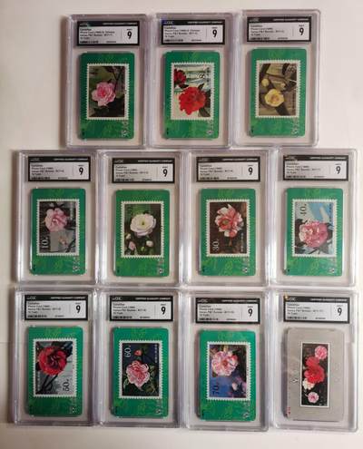 公藏第131期评级卡拍卖 - 甘肃田村卡（山茶花）11全CGC评级9分。