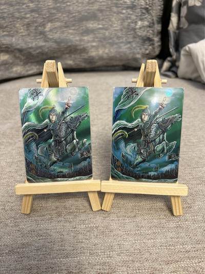 喜灰玩卡拍卖第五期，接拍品0佣金，欢迎送拍，释放现金流，让自己有资金可以购买更多喜欢的卡牌，让别的卡友能淘到更多心仪的卡牌 - 万享 三国斗星录 罗琛老师绘姜维 折光 彩闪 一组两张