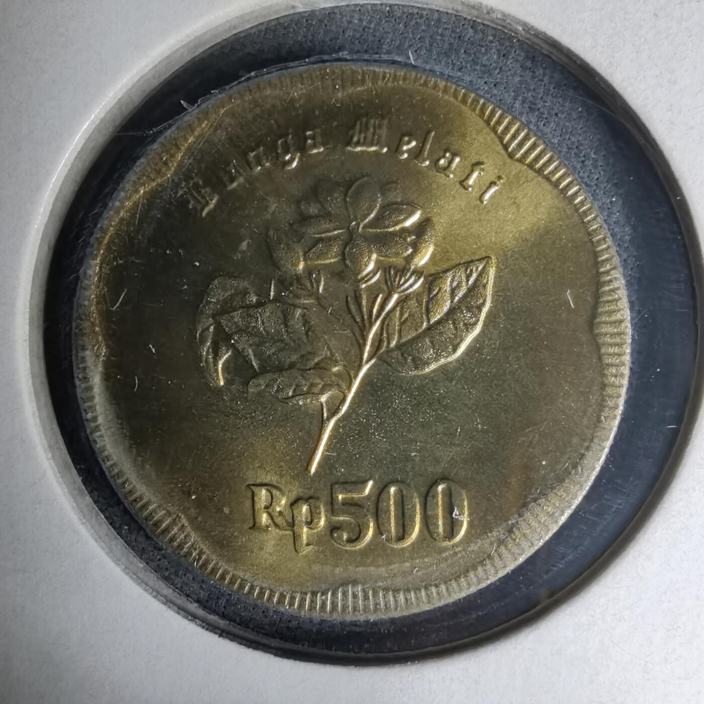 沼泽如烟--第1007场