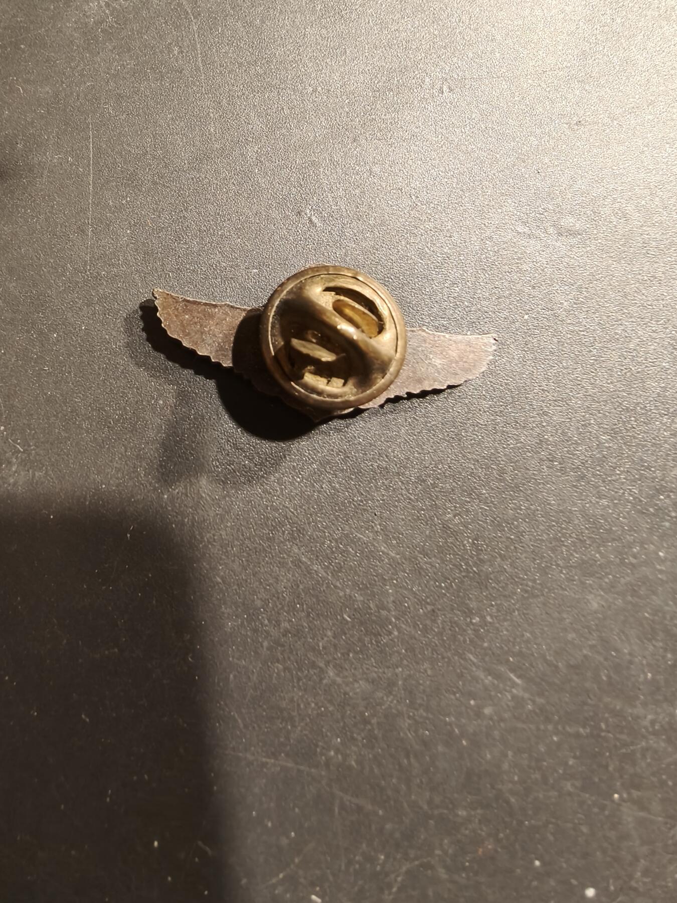 老王徽章第185期