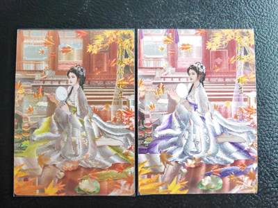 阳大大卡牌拍卖第103期（持续收拍品，周五晚上九点截拍，进群福利早知道） - 【双联】卡德曼 武韵红颜 三国演义 兰心 杨芷 原色+异色 折光粗闪