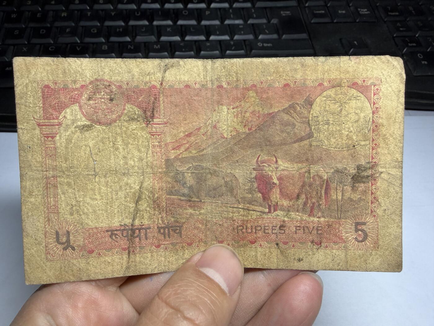 2026年集古藏今外币拍卖第二期-第10场—（总第310拍-纸币专场），本期拍完结算一次，发货时间2-3天，休息几天后继续新的一期拍卖。 尼泊尔5卢比