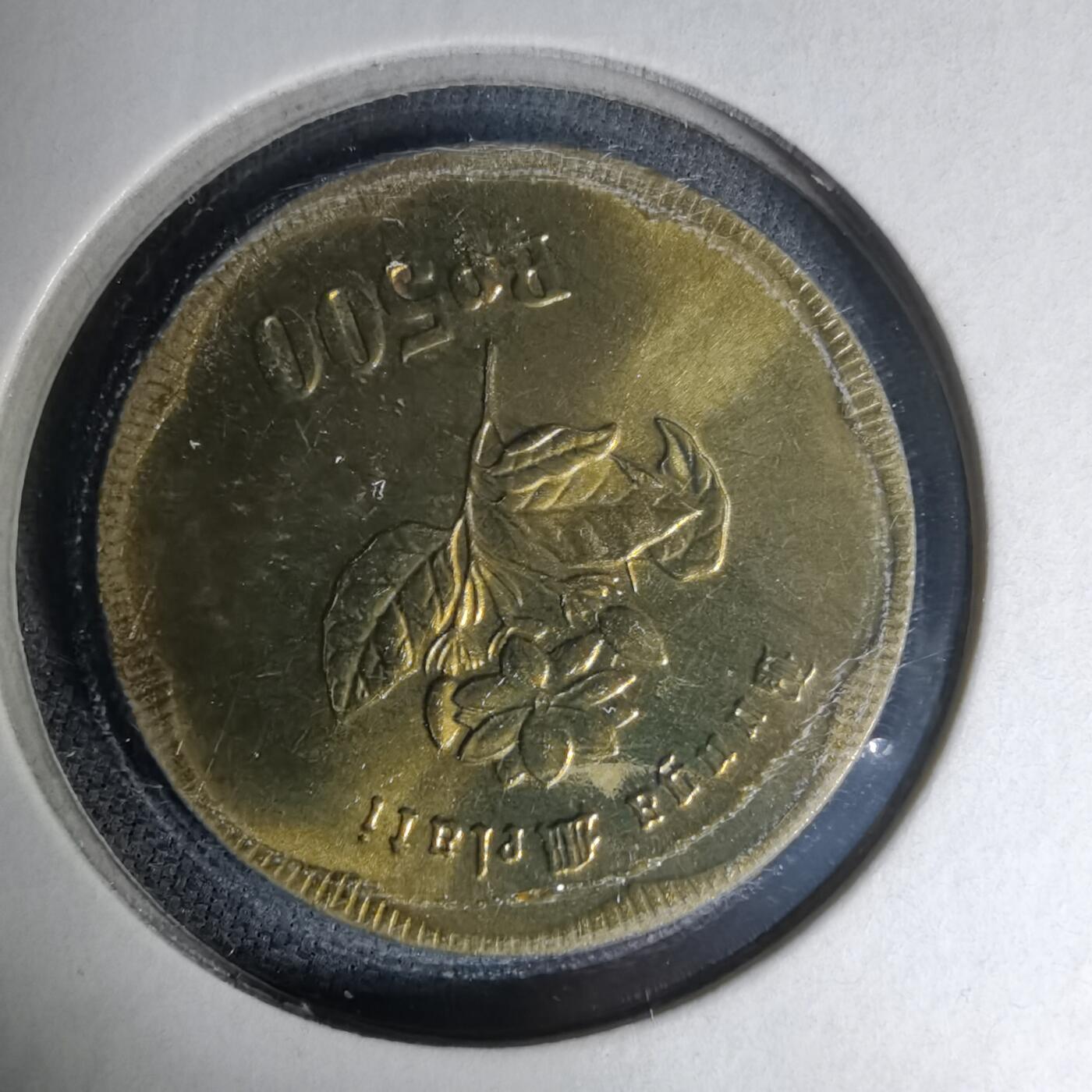 沼泽如烟--第1007场