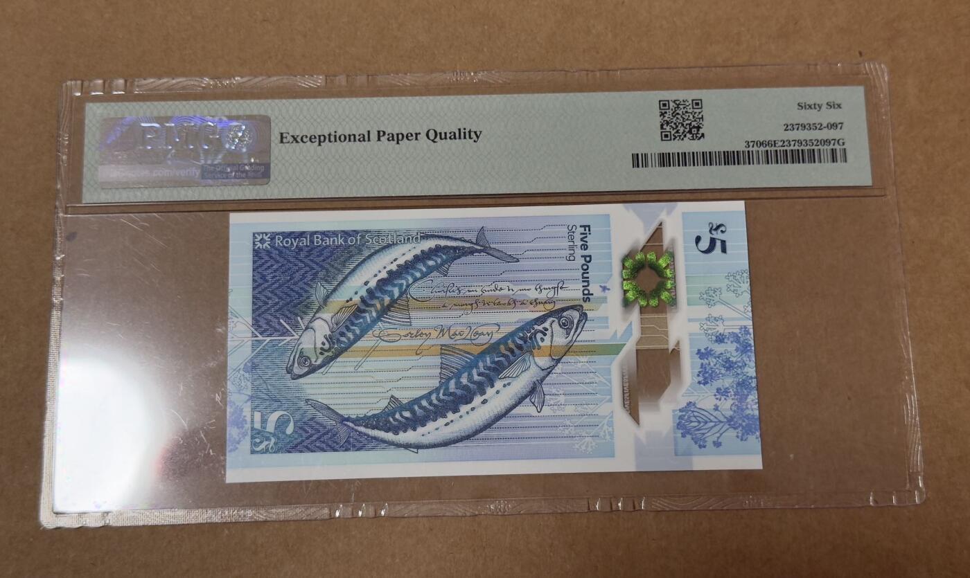 【礼羽收藏】🌏世界钱币拍卖126期