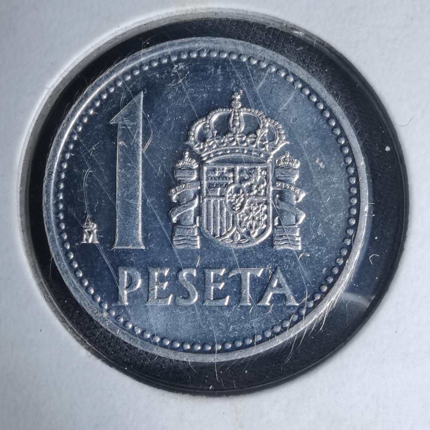 沼泽如烟--第1007场