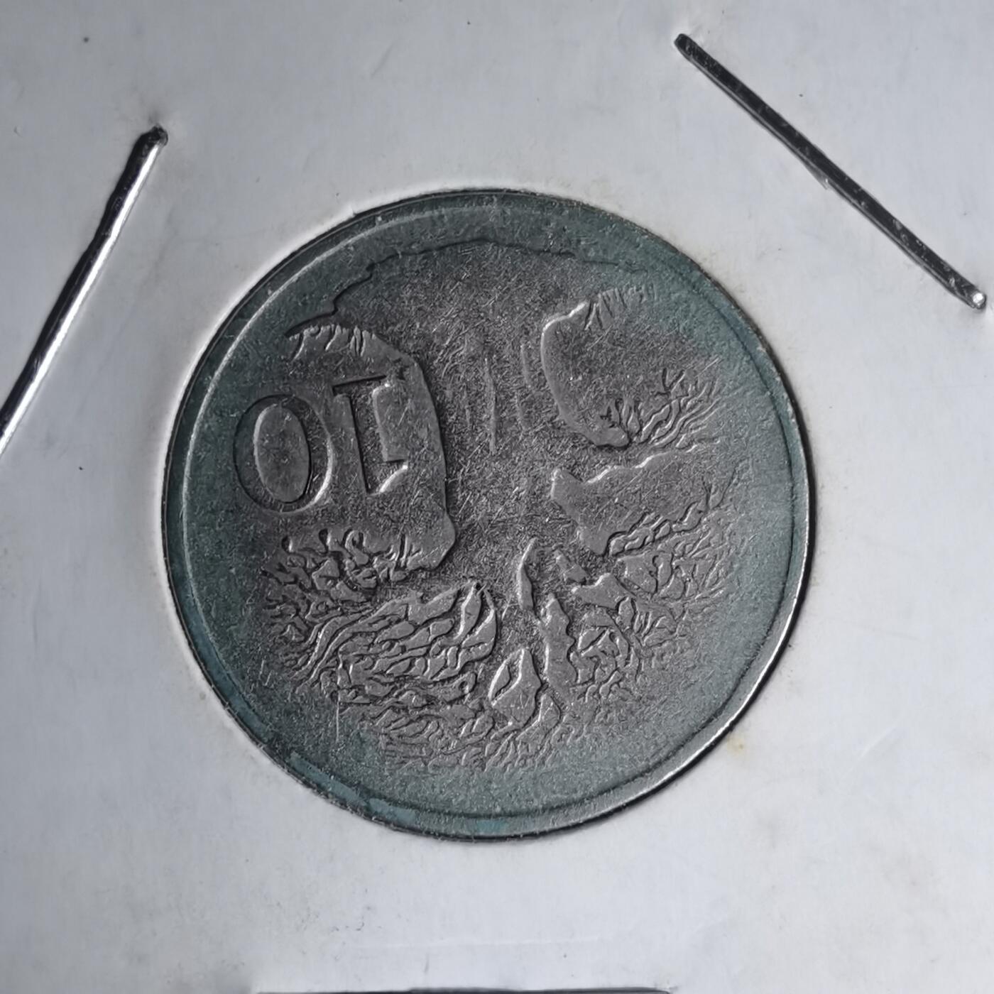 沼泽如烟--第1007场