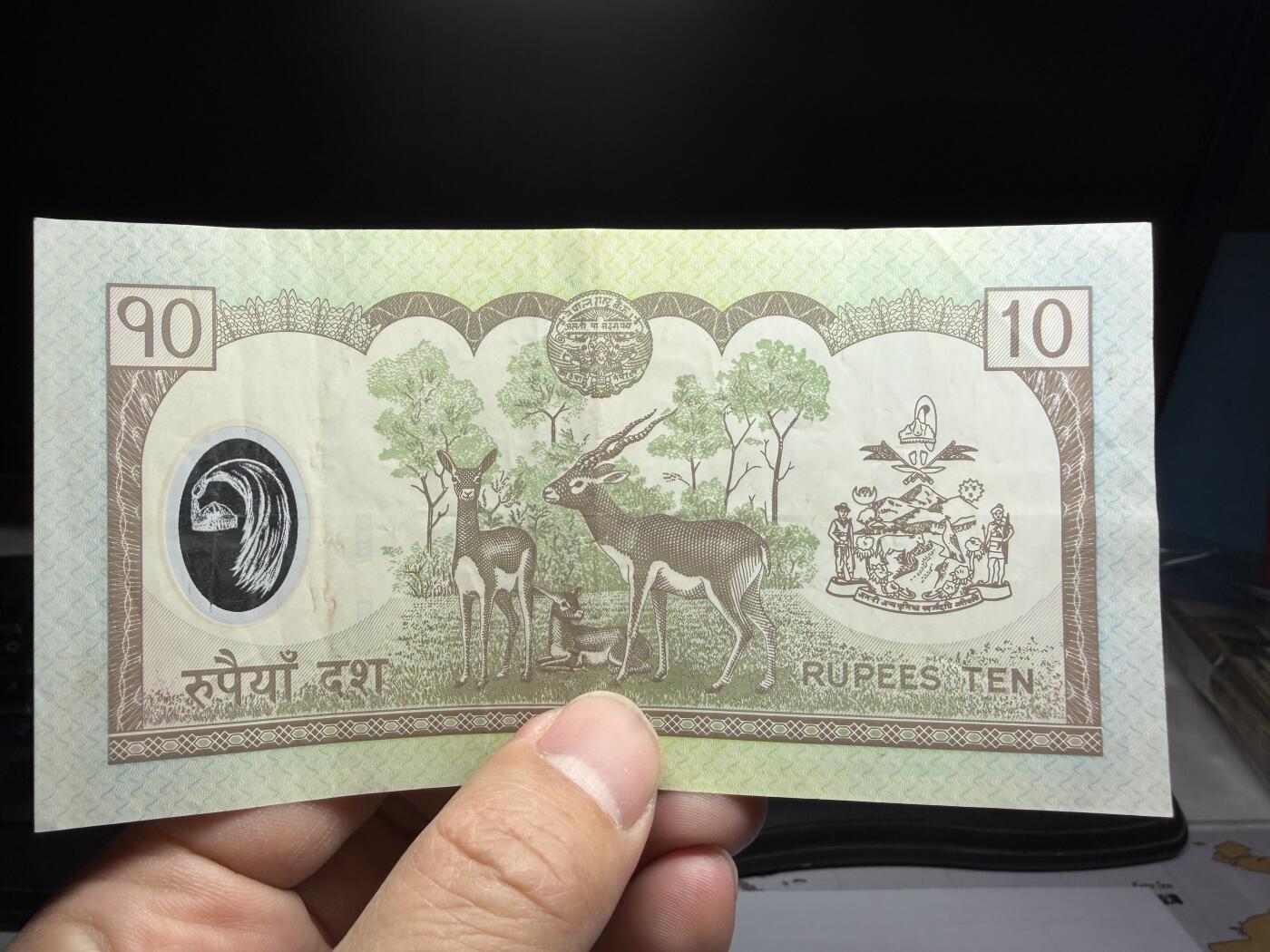 2026年集古藏今外币拍卖第二期-第10场—（总第310拍-纸币专场），本期拍完结算一次，发货时间2-3天，休息几天后继续新的一期拍卖。 尼泊尔10卢比塑料钞