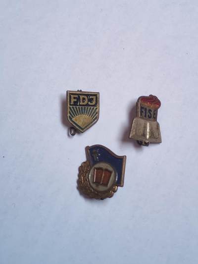 韵星假日军品类拍卖第43期 -- Rimey Holidays Militaria Auction 43 - 民主德国台尔曼青年团自由德国青年团证章一组