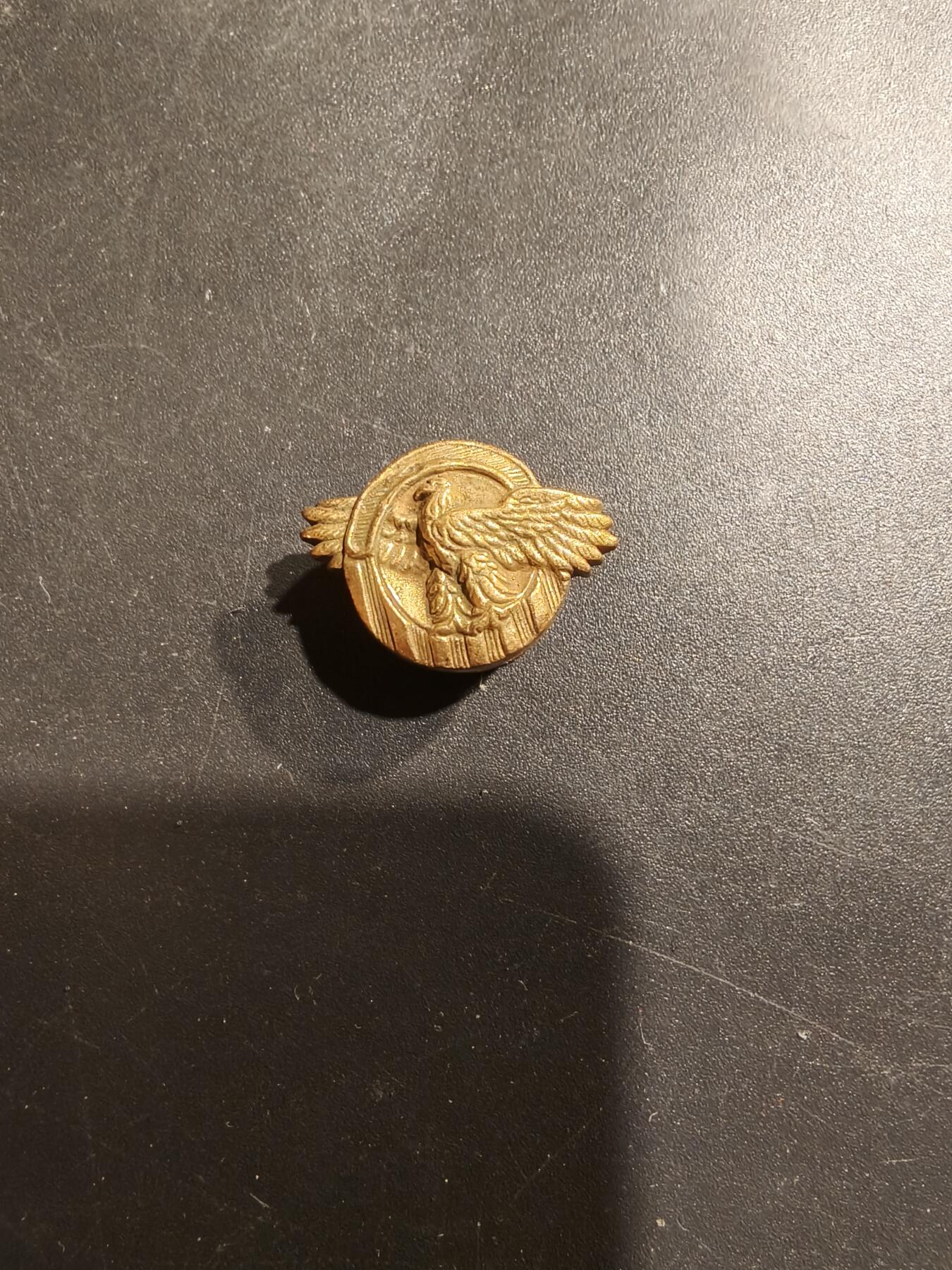 老王徽章第185期 美国老兵协会证章