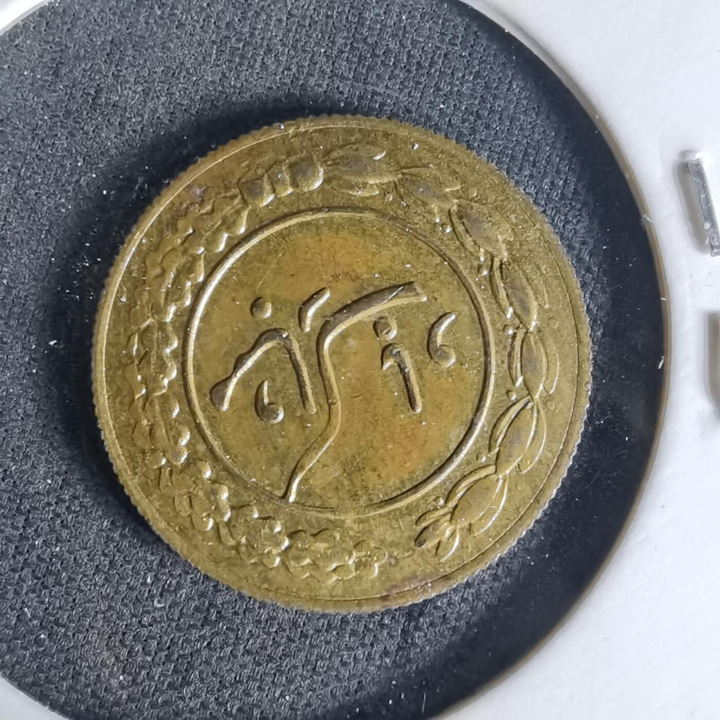 沼泽如烟--第1006场