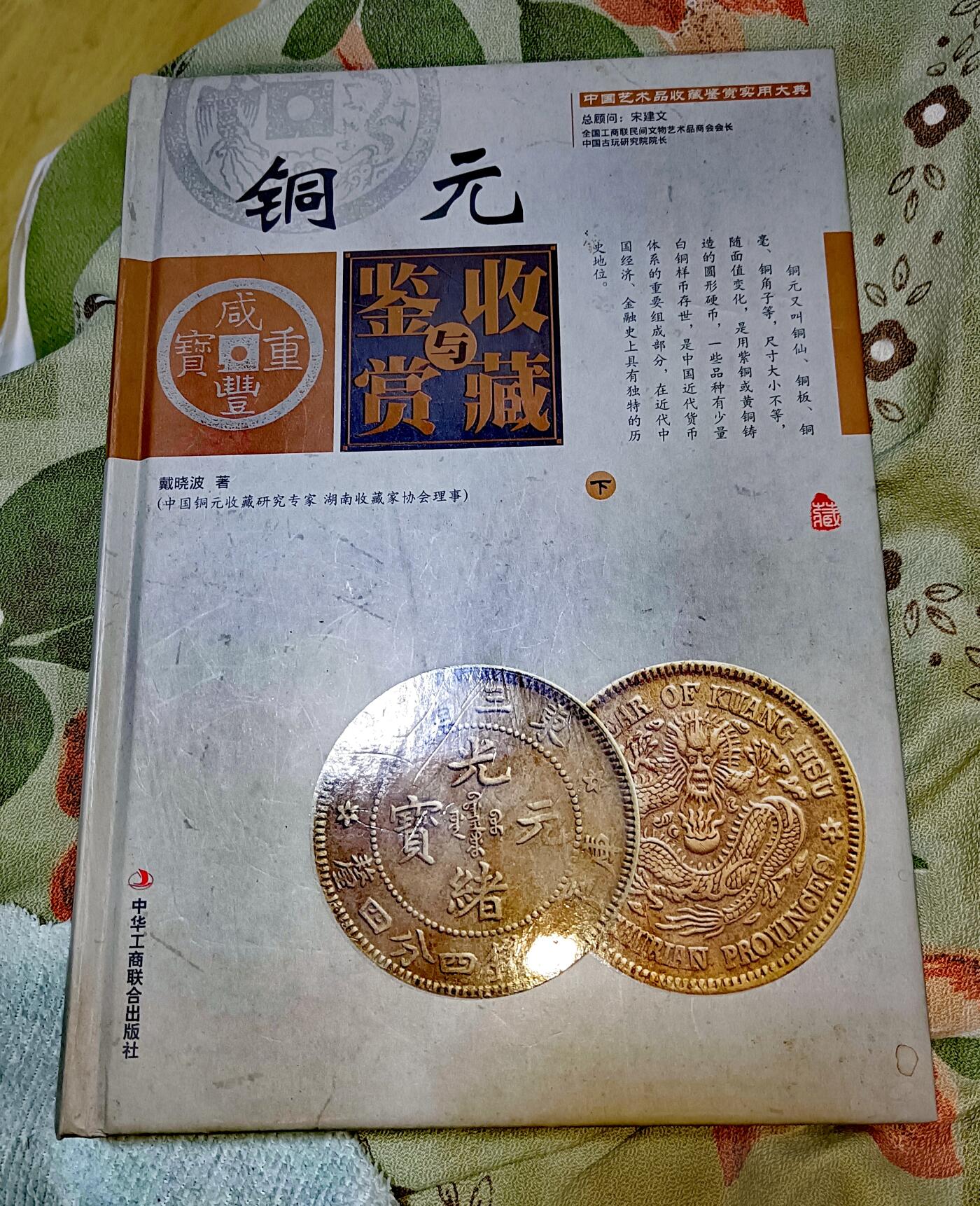 近全新戴晓波著《铜元》上、下两册500页錢币专业书籍二本