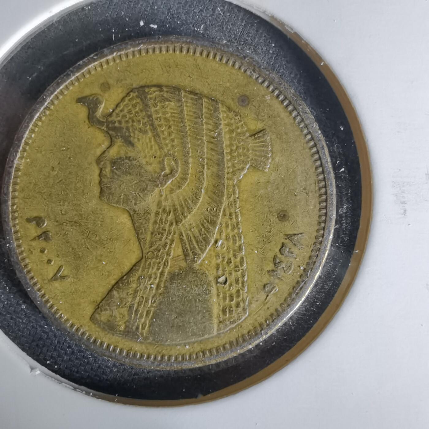 沼泽如烟--第1006场