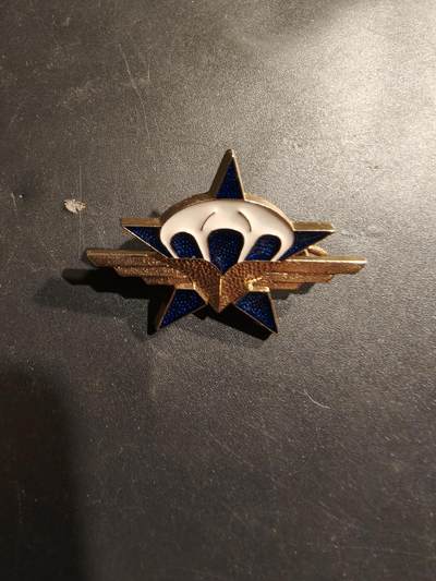 老王徽章第185期 - 法国陆军第11伞降猎兵团证章