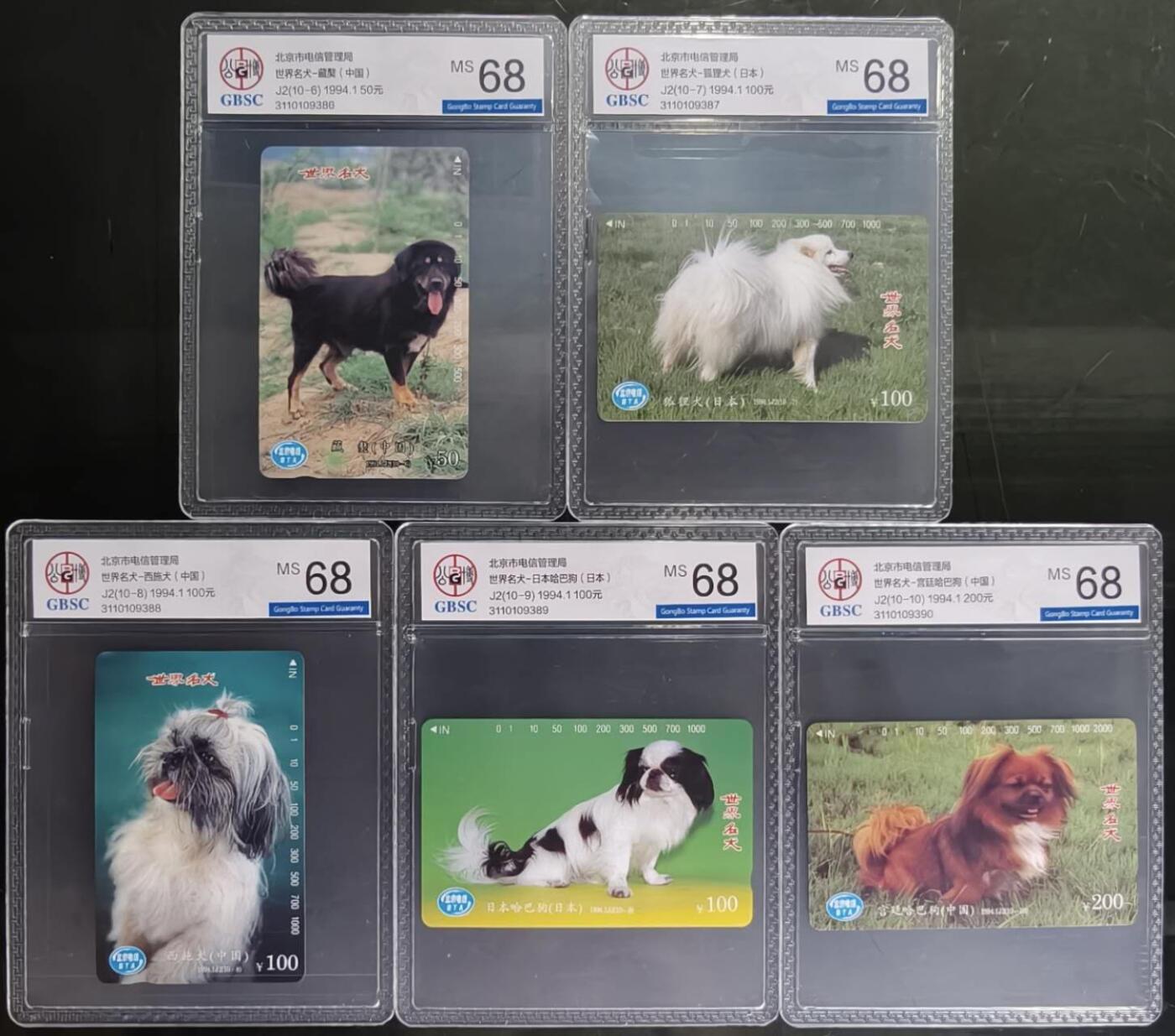 公藏第131期评级卡拍卖 北京田村卡（世界名犬）10全公博68分。