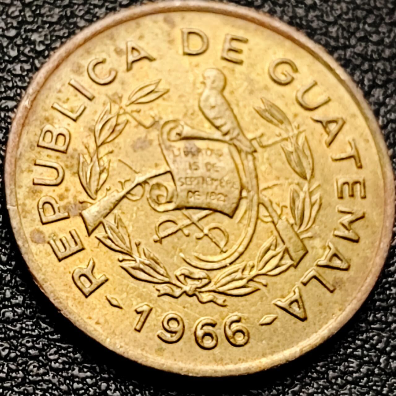 泉币菌-第203场-本场拍品多 请提前出价（正月十五统一发货） 。