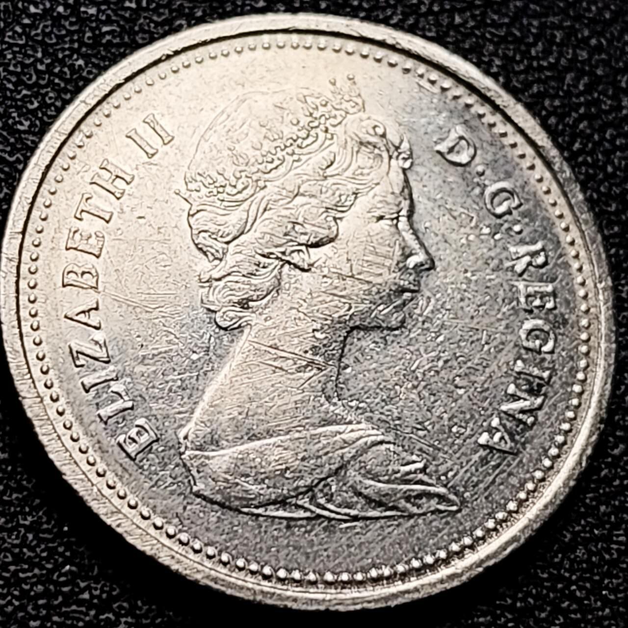 泉币菌-第203场-本场拍品多 请提前出价（正月十五统一发货） 。