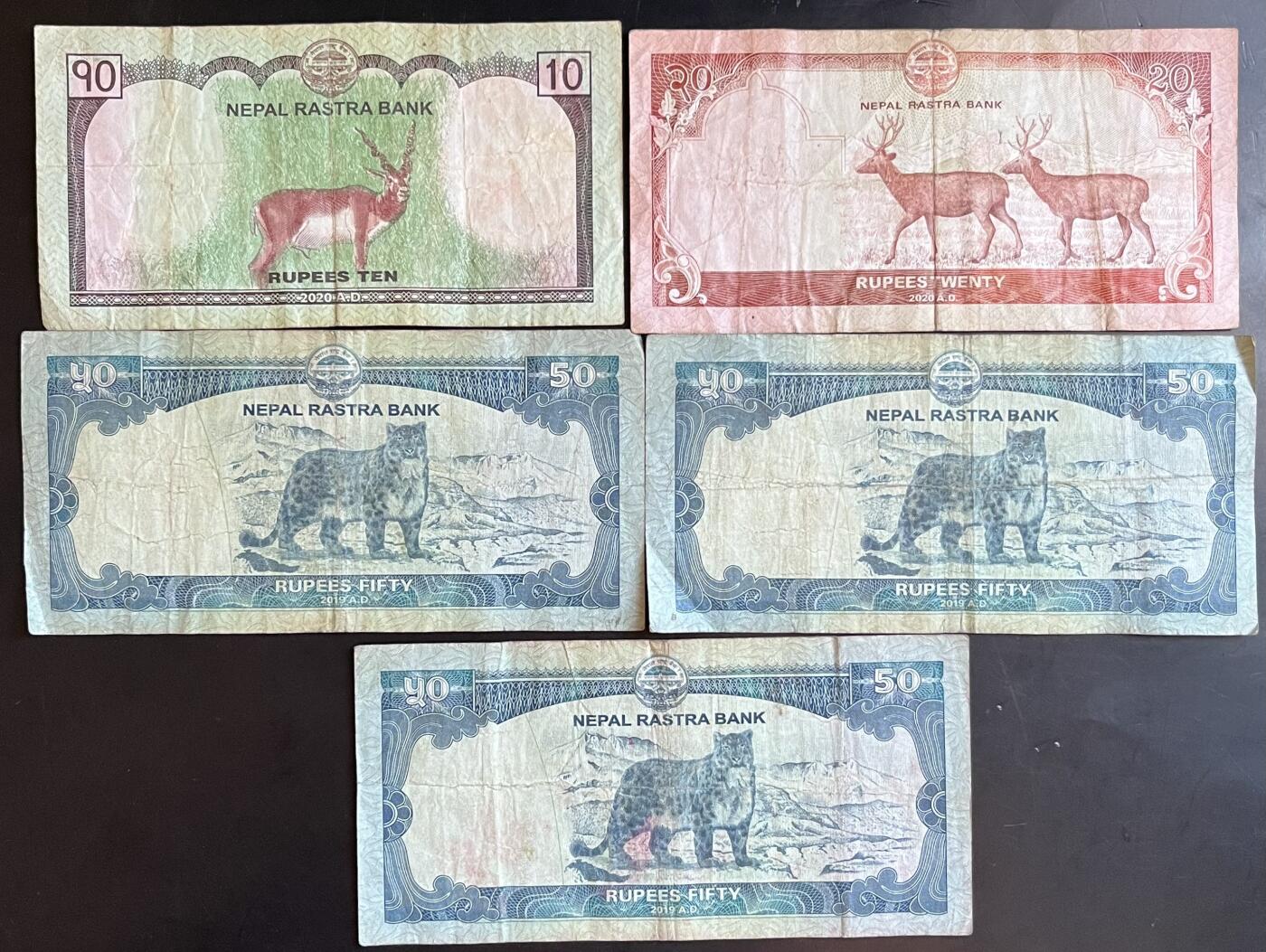 小福收藏拍卖第201期 流通品相裸钞 特惠场 本场拍卖美洲大洋洲非洲亚洲纸币【佣金仅收2% 不设最低佣金 全场包邮】 尼泊尔纸币 1组5张 