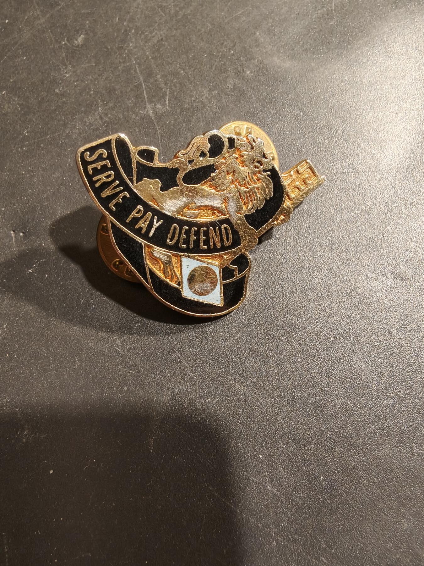 老王徽章第185期 美国陆军财务部队证章