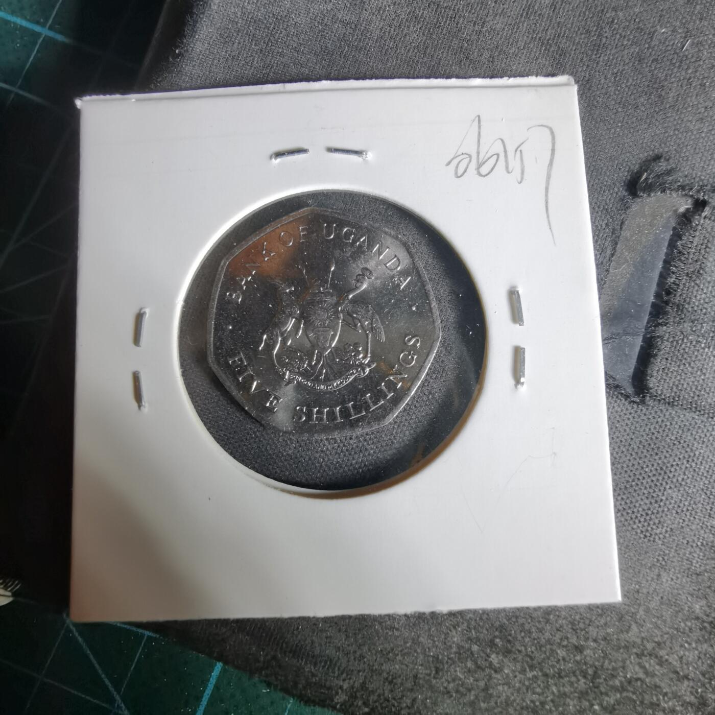 沼泽如烟--第1006场