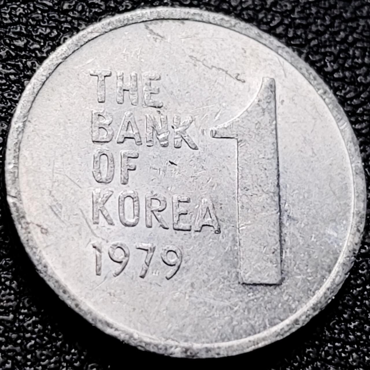 泉币菌-第203场-本场拍品多 请提前出价（正月十五统一发货） 。