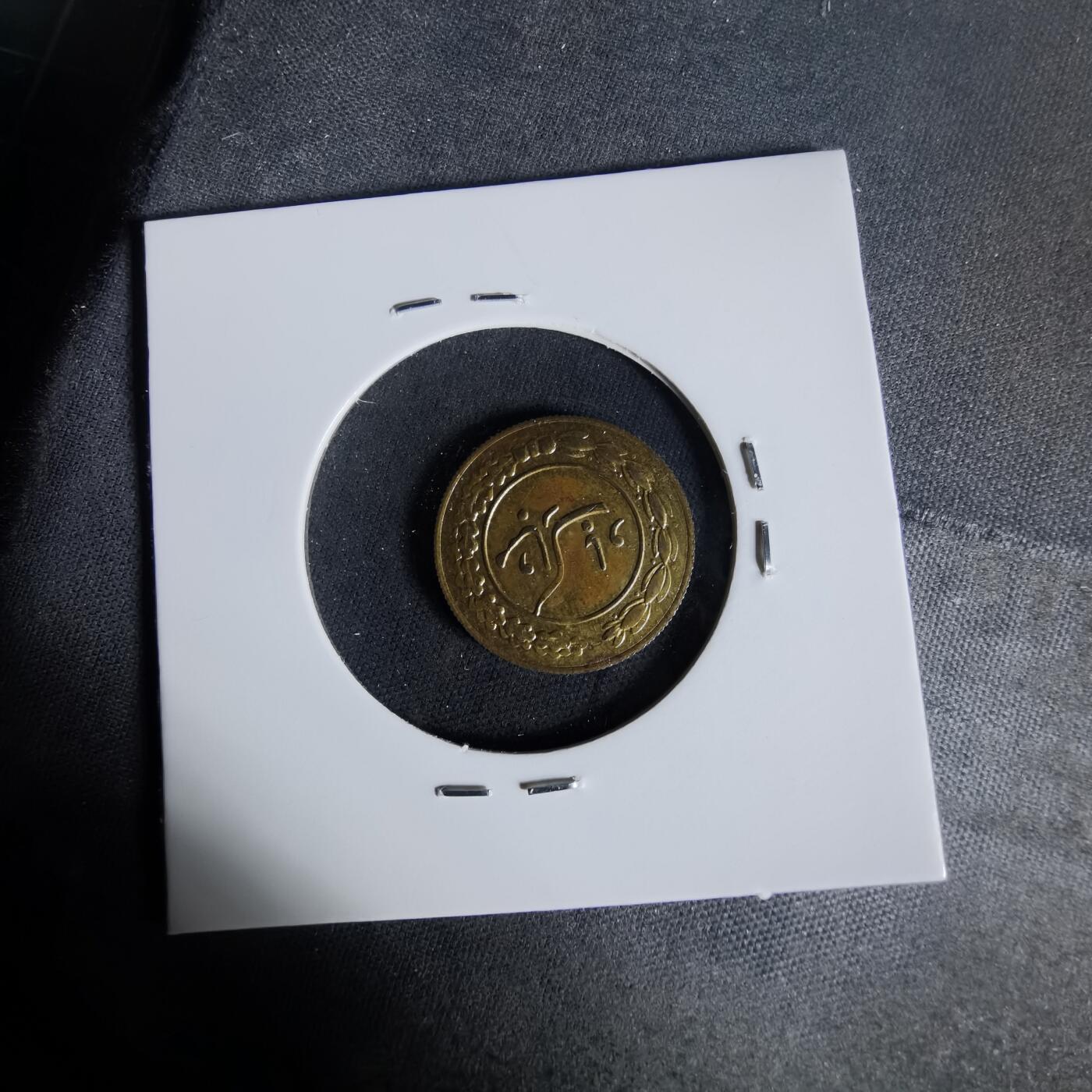 沼泽如烟--第1006场