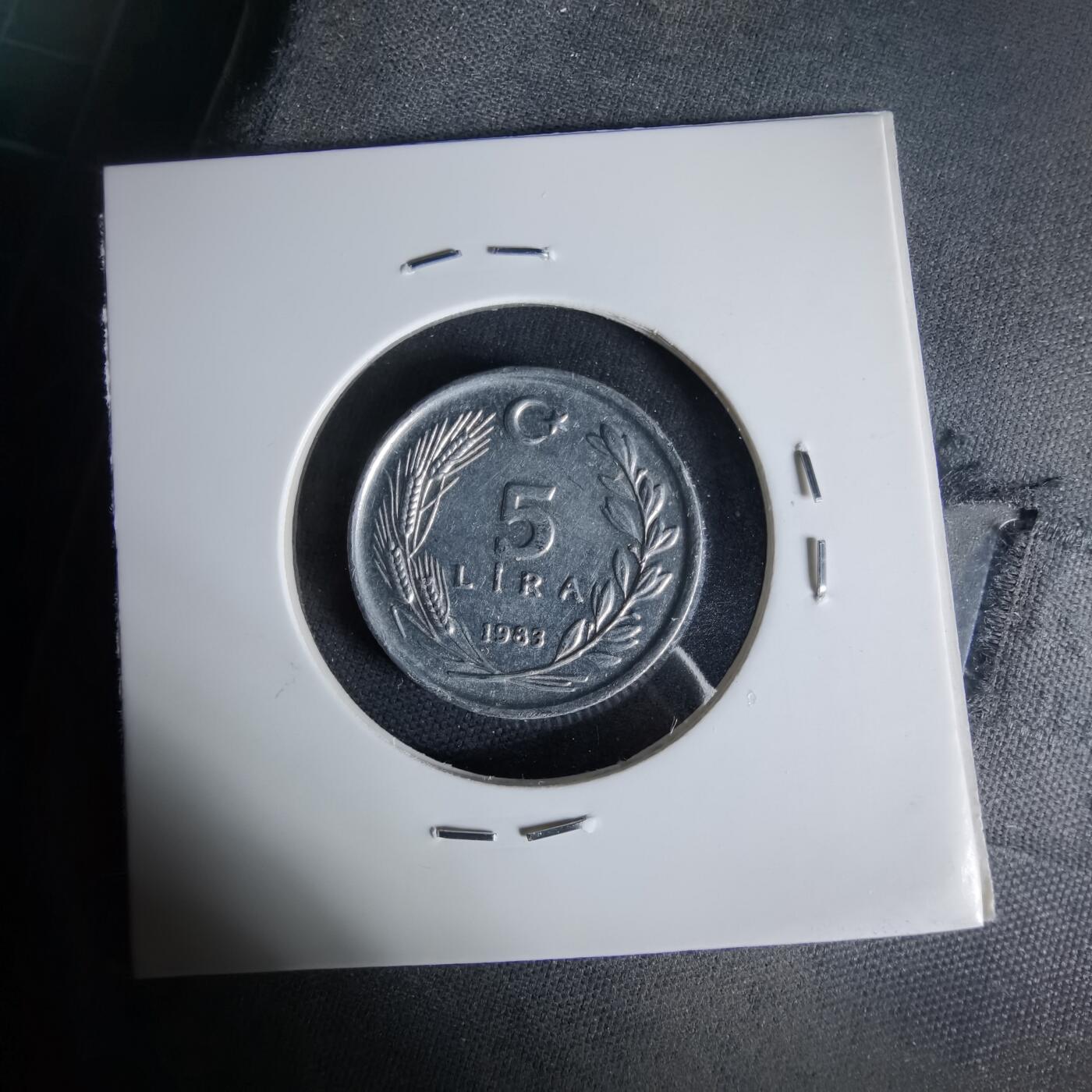 沼泽如烟--第1006场