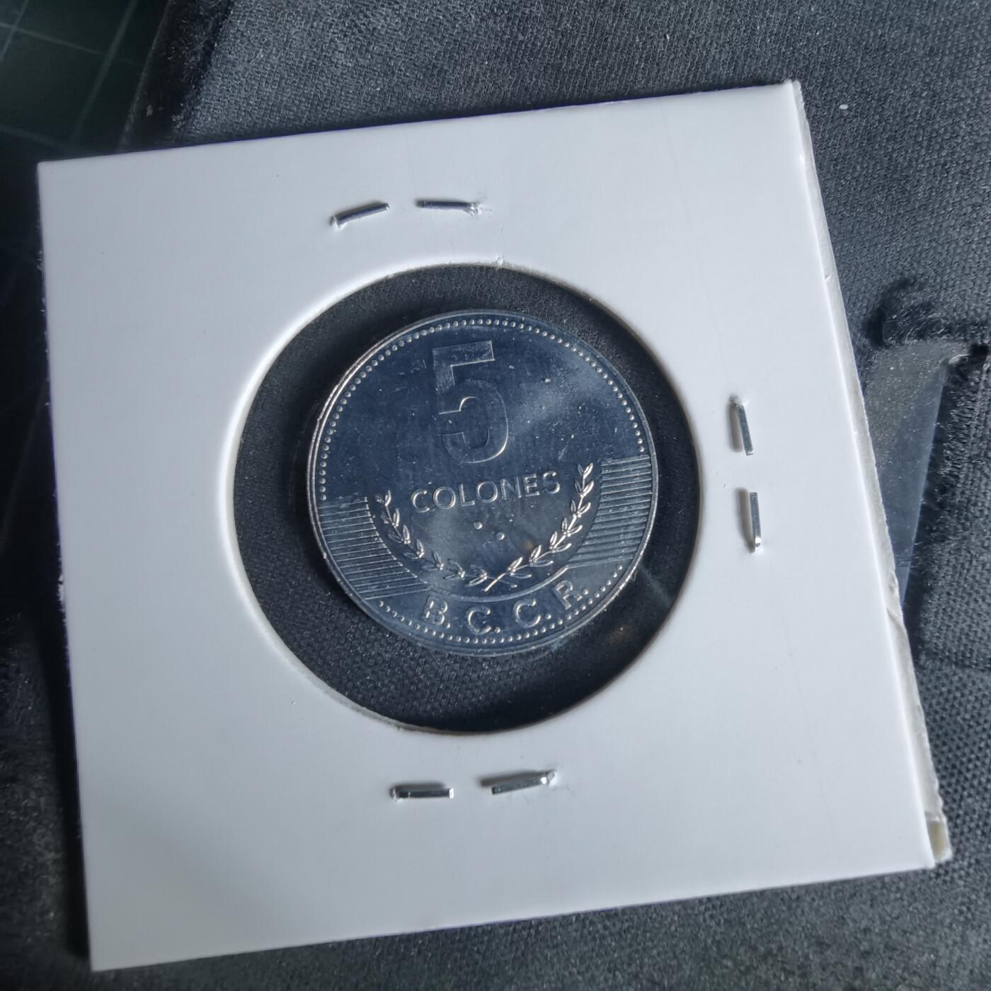 沼泽如烟--第1006场