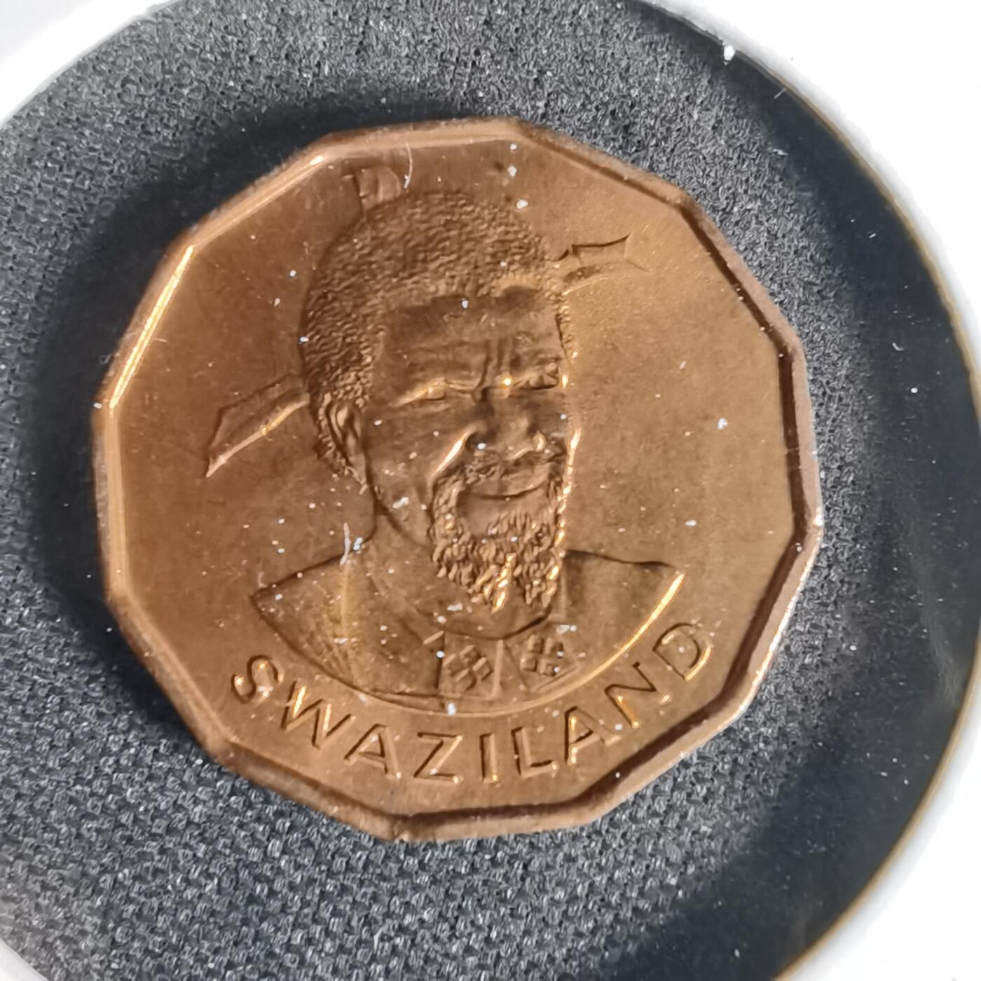 沼泽如烟--第1006场