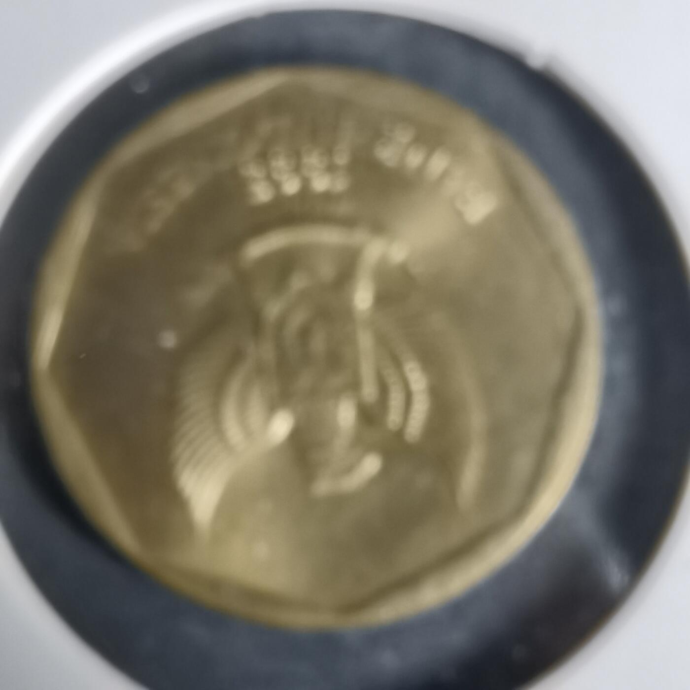 沼泽如烟--第1006场