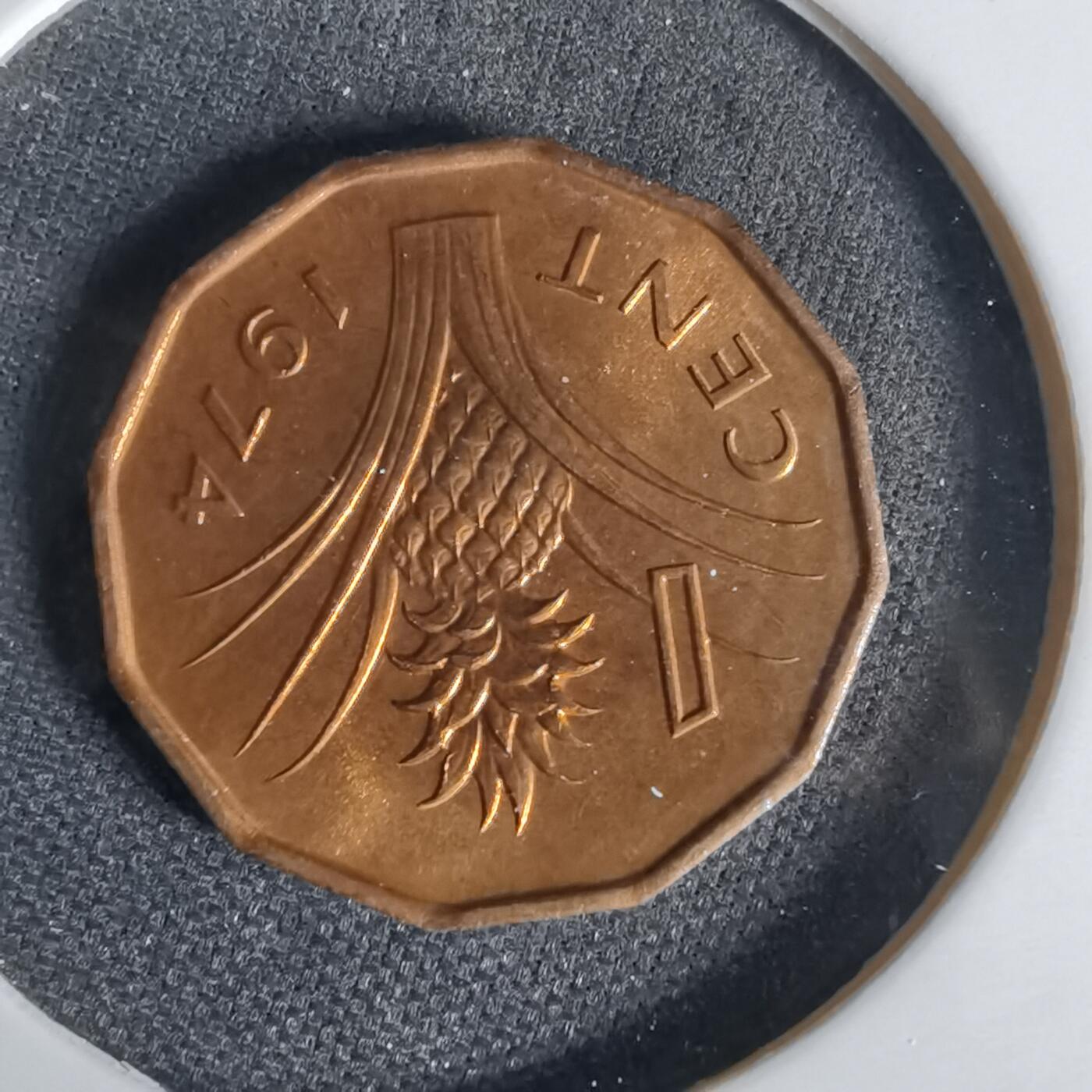 沼泽如烟--第1006场