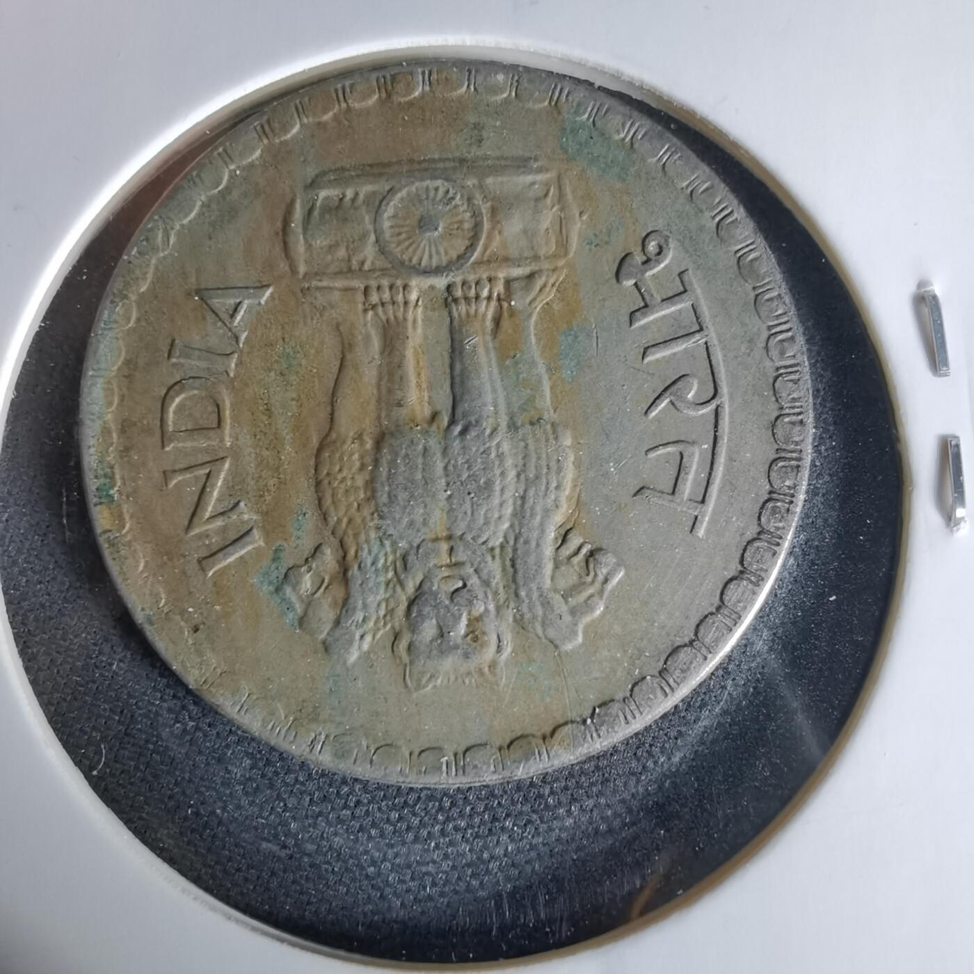 沼泽如烟--第1006场