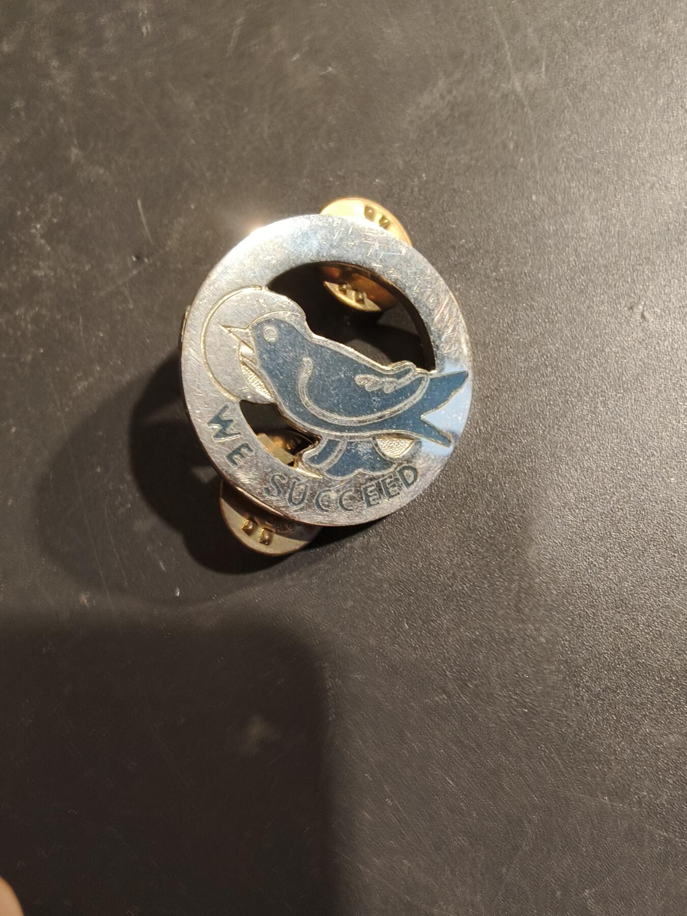 老王徽章第185期 美国陆军训练士官证章