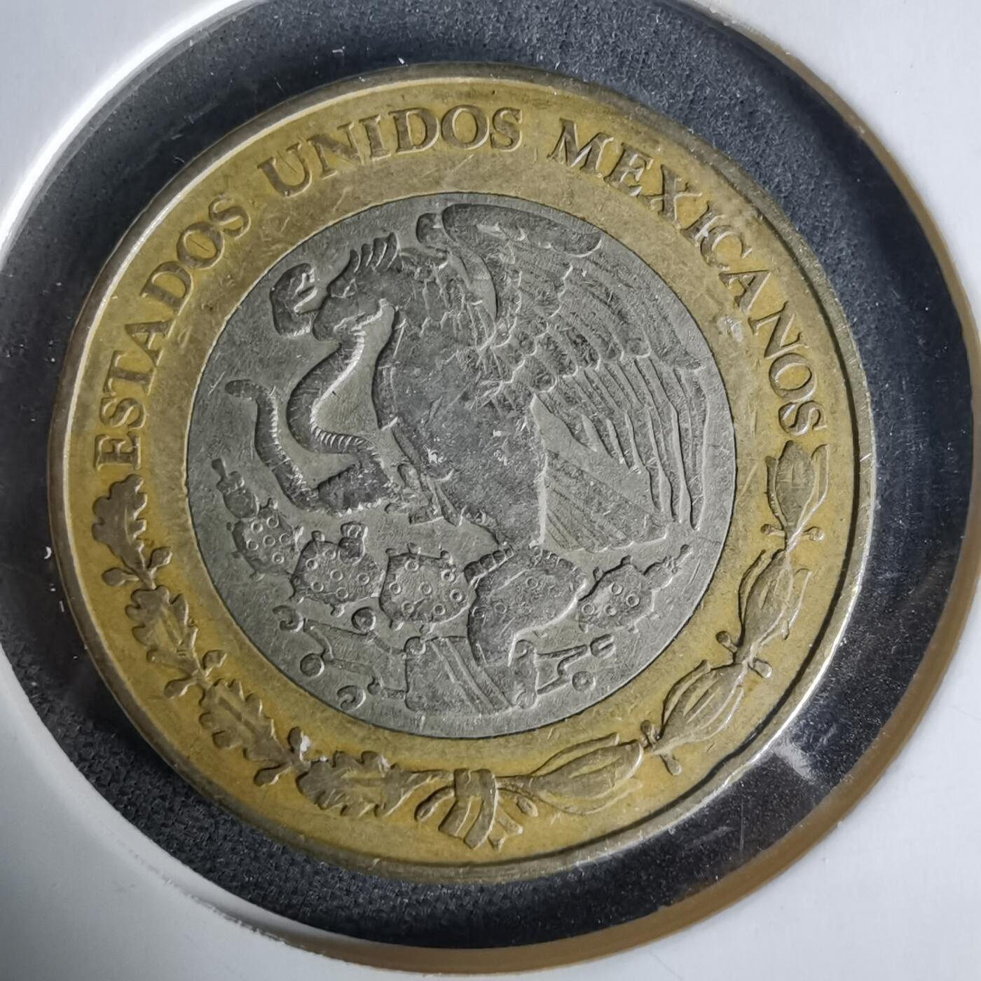 沼泽如烟--第1006场