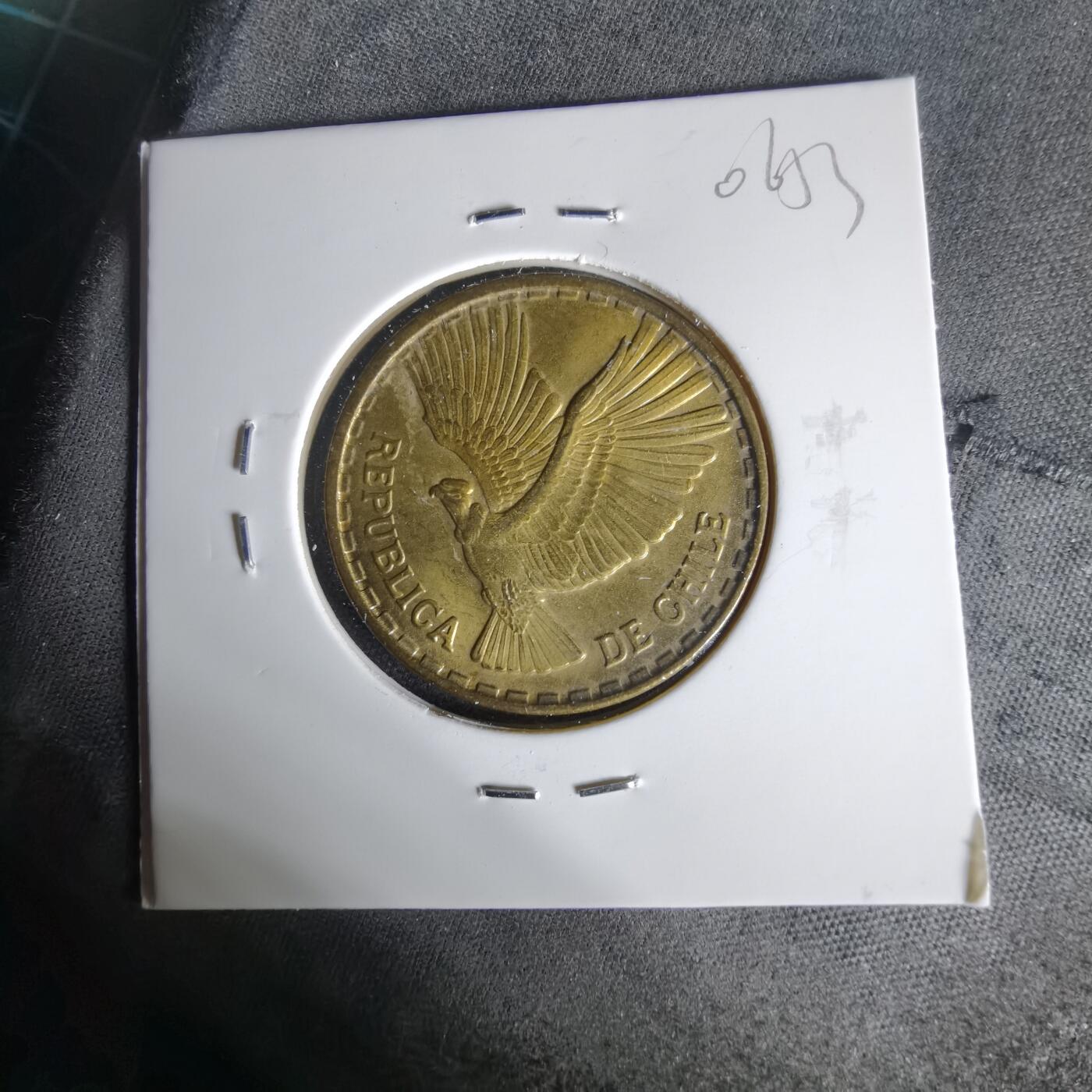 沼泽如烟--第1006场